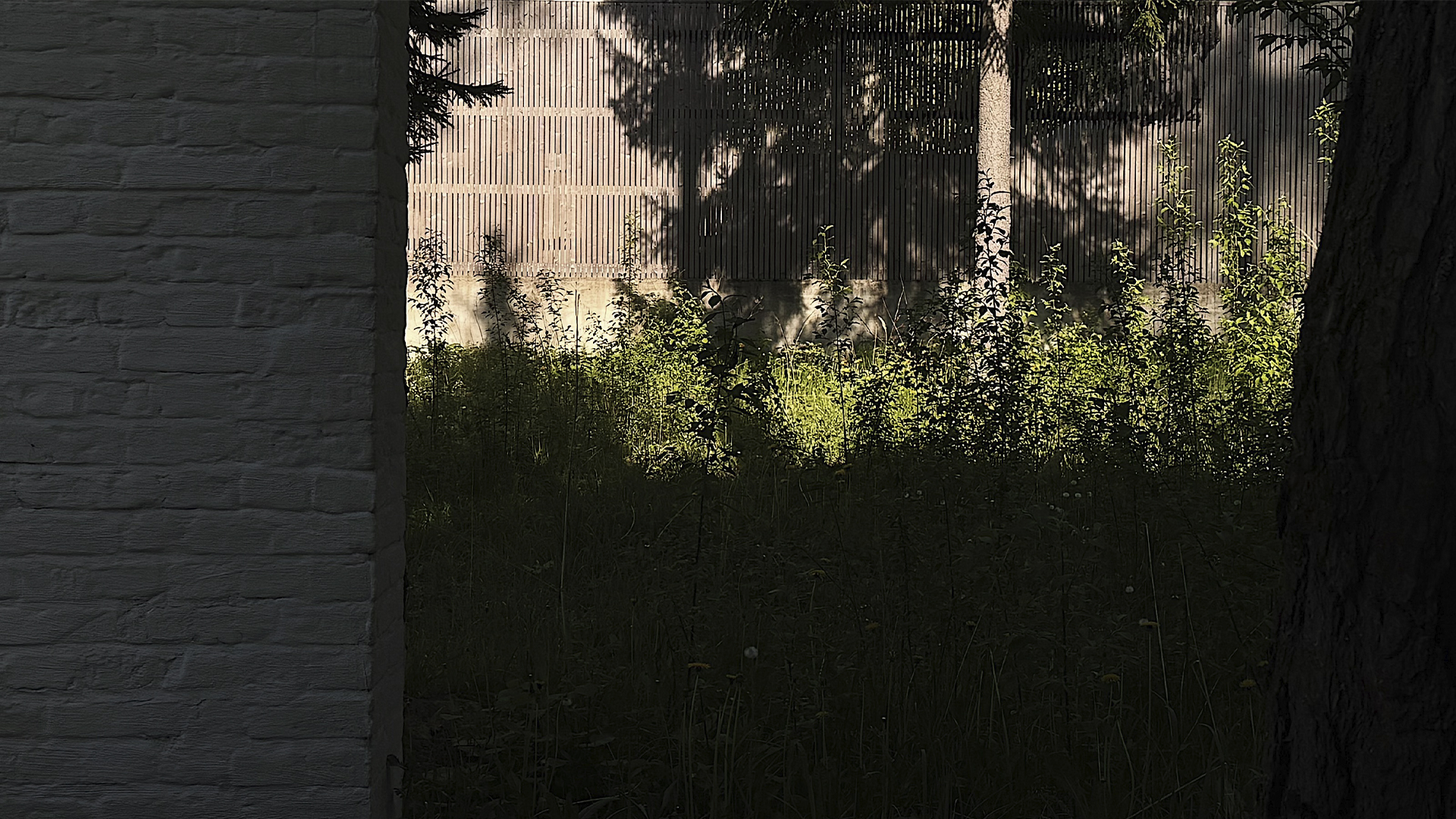 house project in the Moscow region