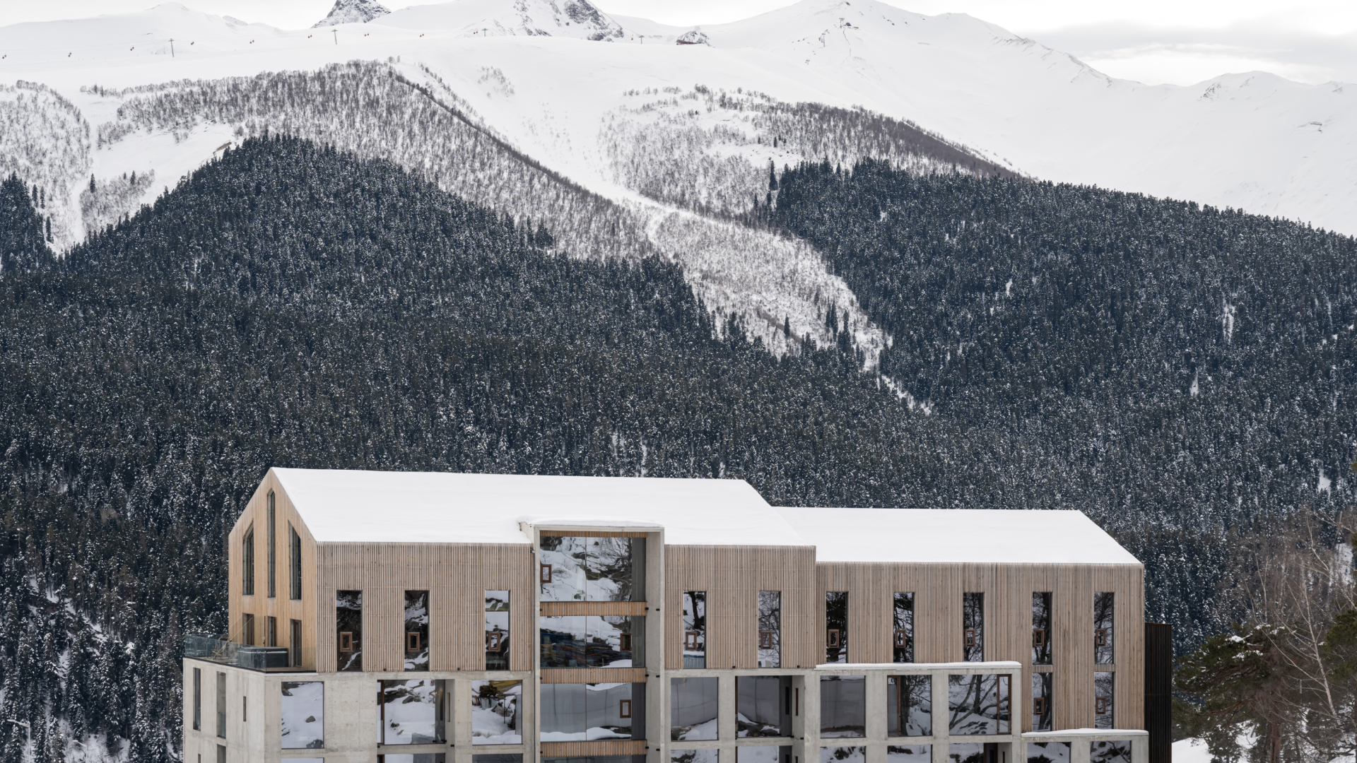 hotels in the pine forest